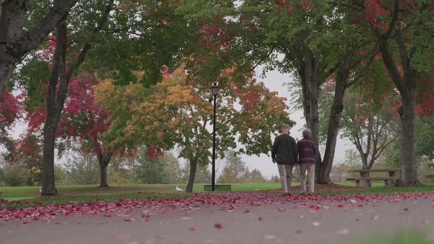 Elderly couple walks along path among trees with fall foliage