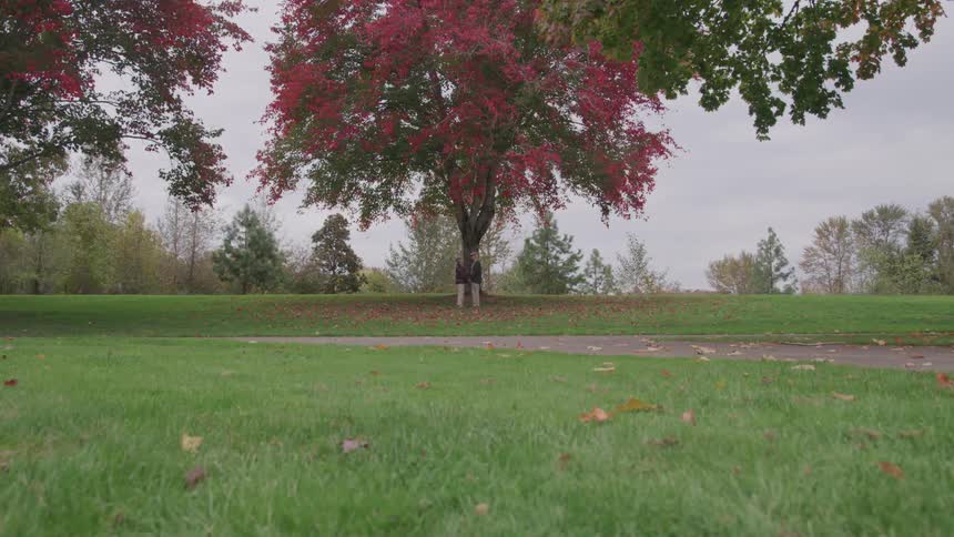 Two people are standing at a park at daytime