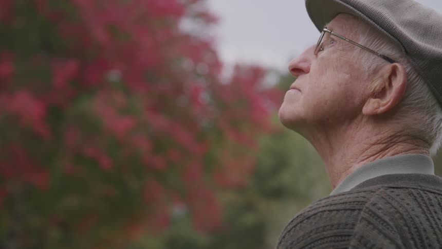 A man standing outside looking at the sky with trees in the background