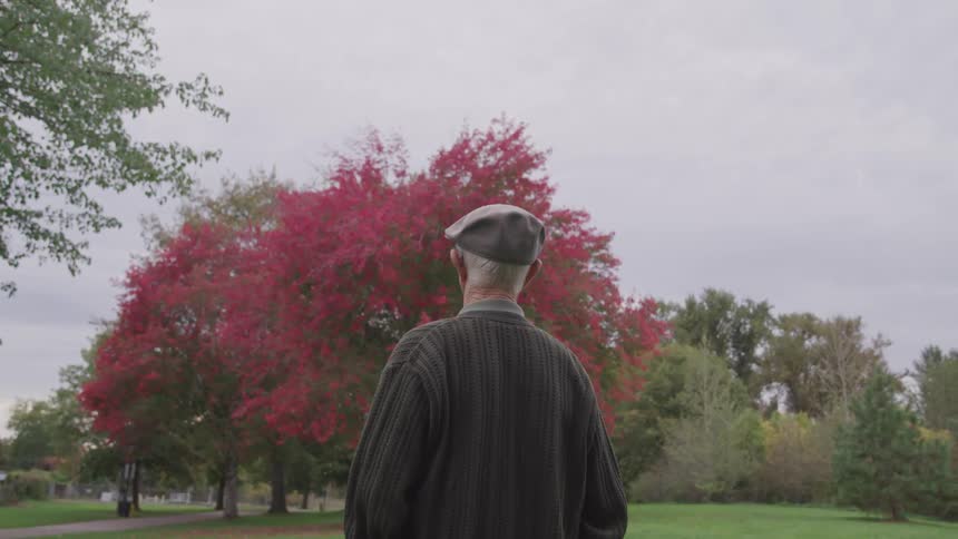 Old man standing on the grass looks at the red tree in the public park on a cloudy day