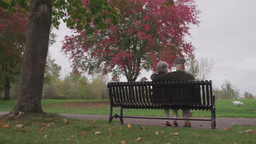 Senior man and woman sitting on the park bench look around in the public park