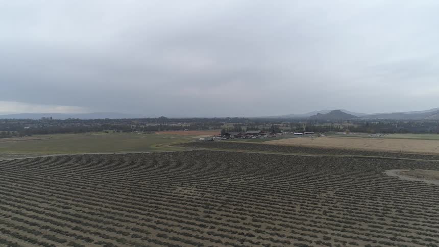 An aerial view of rows of crops on a rural farm