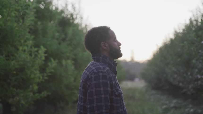 A black man stands outdoors between hedgerows and looks upwards