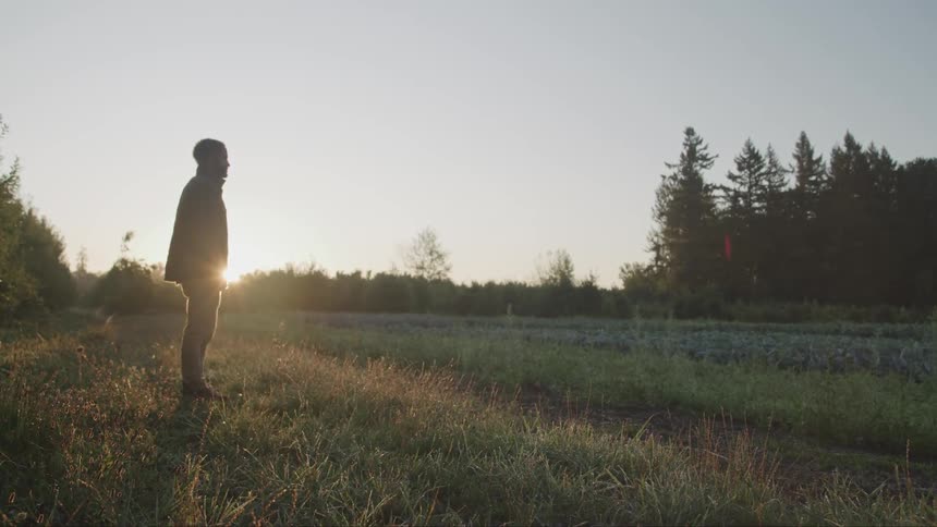 Black man stands on the grass in the field at sunset