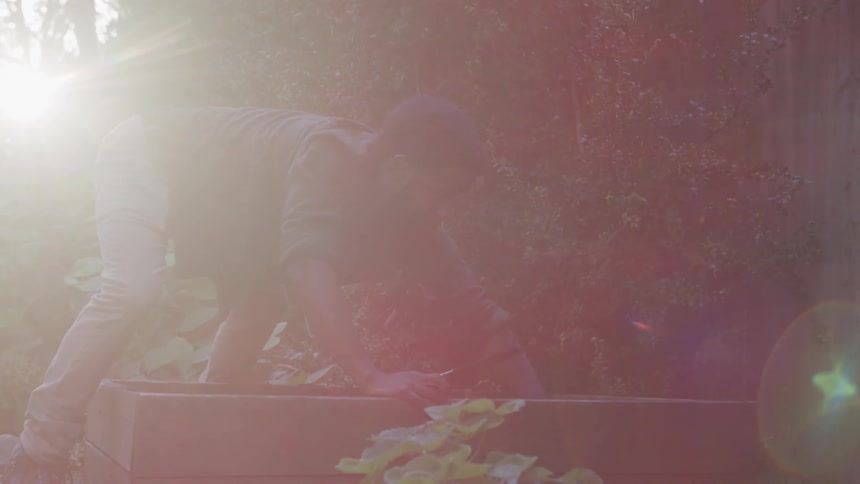 Man tending a garden box in backyard at sunrise