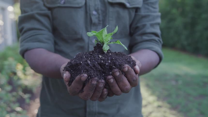 A man holding a handful of soil and plant in his hand