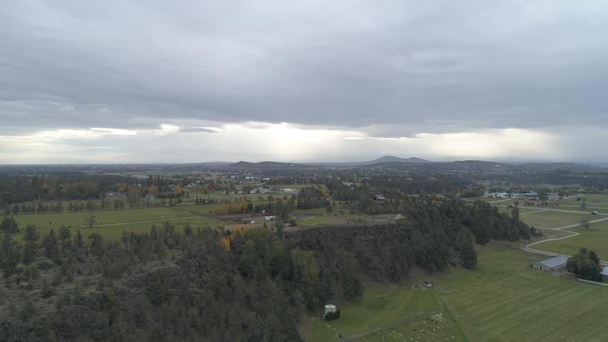 An aerial scenery of a village near forest