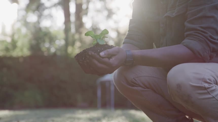 Gardner kneeling down holding a plant in soil in palm of hands