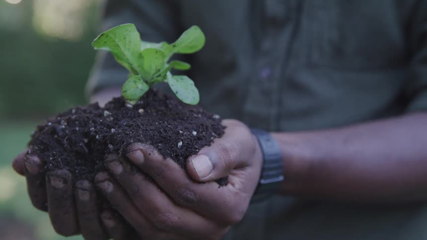 Mand hands holding a plant and soil