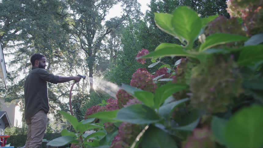 A man watering the plants at his garden