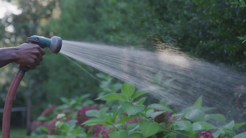 A hand watering plants on the courtyard