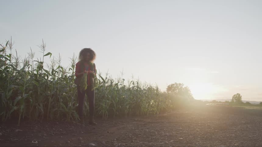 A woman stands at the edge of the field