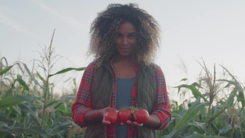 Woman holds ripe tomatoes standing next to crop field