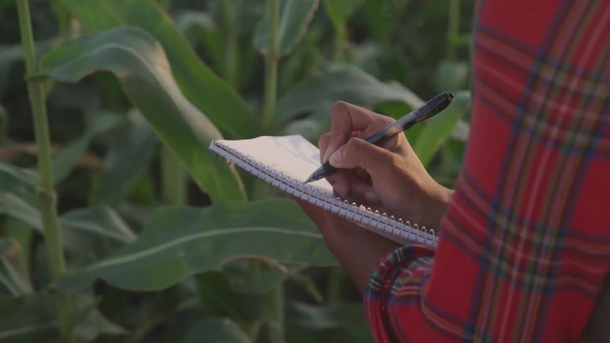 A man write on his book at the farm field