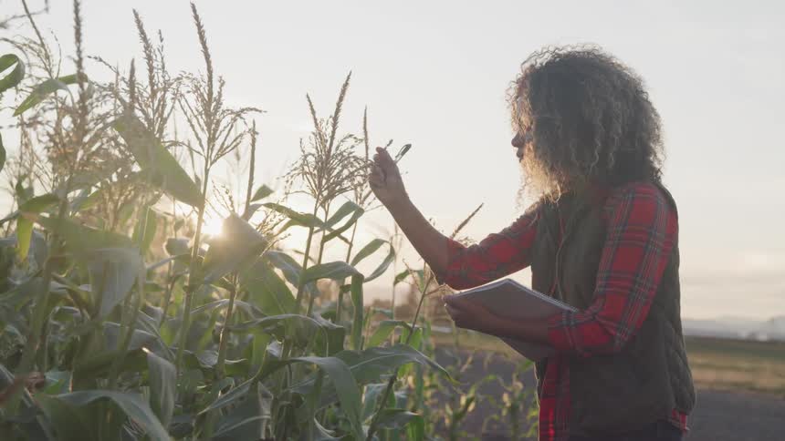 A woman is carrying a notebook and looking at produce
