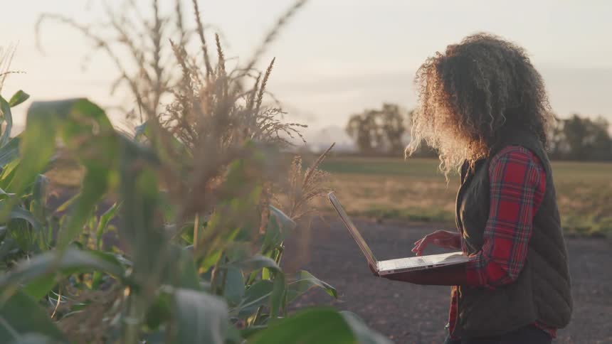 Woman uses laptop while studying crops in field
