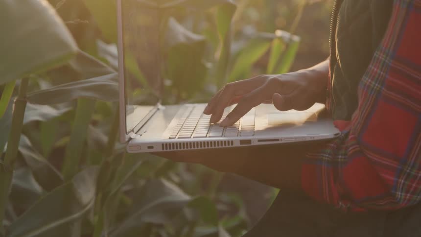 Black person uses laptop in the fieldat sunset