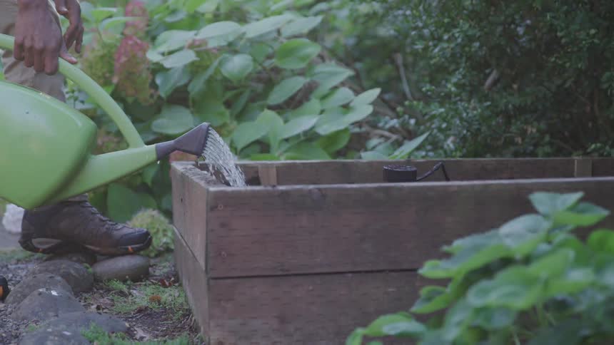 A person is watering plants in a garden
