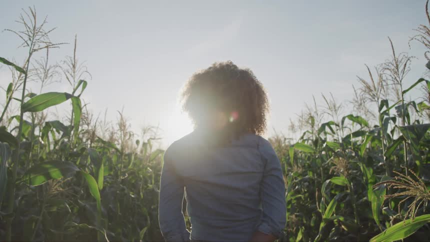 Curly hair black woman stands on the farm path in the field in the afternoon