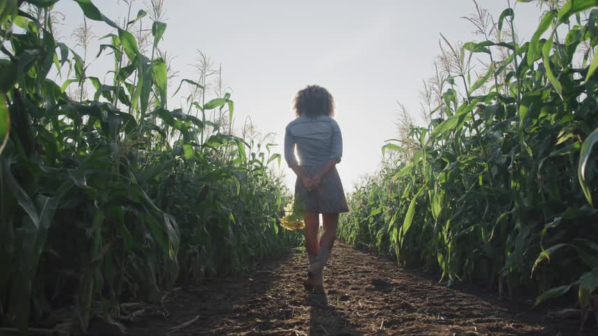 A woman standing in a row in between the corn