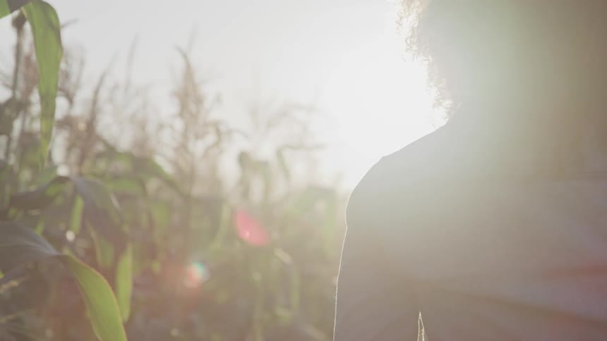 Curly hair black woman stands and looks at the sunset in the field
