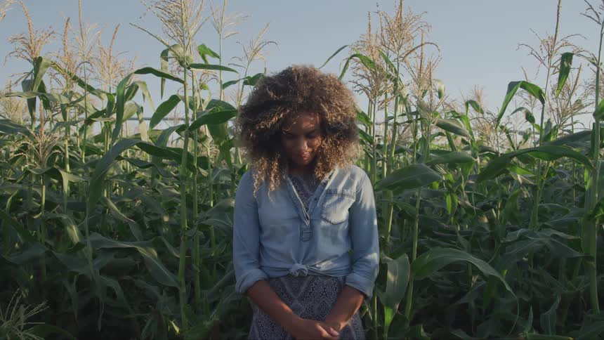 Woman stands still in front of corn field at sunrise