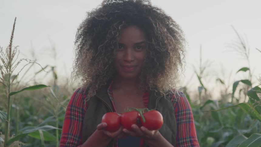 Curly hair brunette woman holds tomatoes and looks at the camera in the field