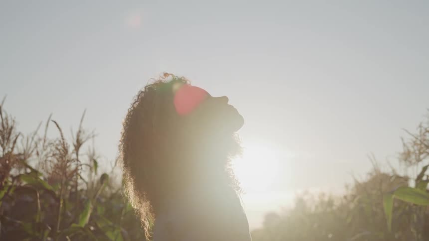 Curly hair black woman stands and looks up in the sky in the field at sunset