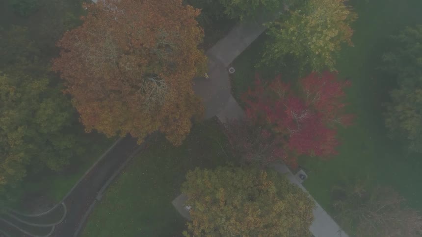 A person rides a bike on a path