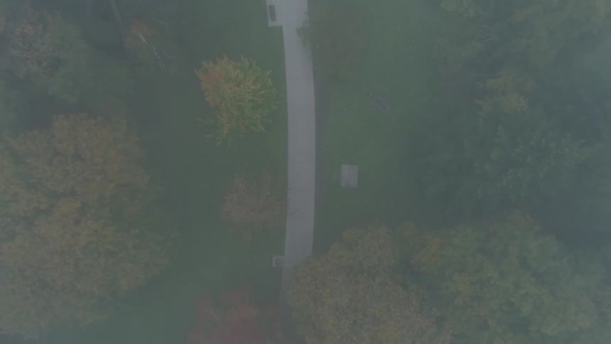 Benches placed near wide paved path in forested park