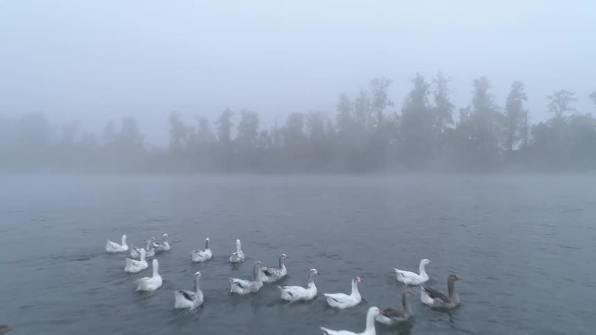 An aerial footage of a misty city
