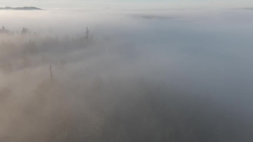 Dense fog covers forest and mountains