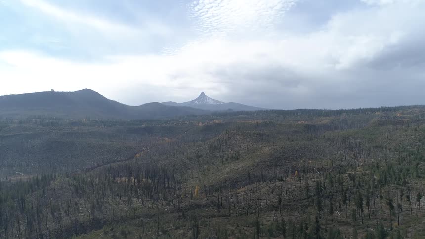 The valley is full of trees before the mountain