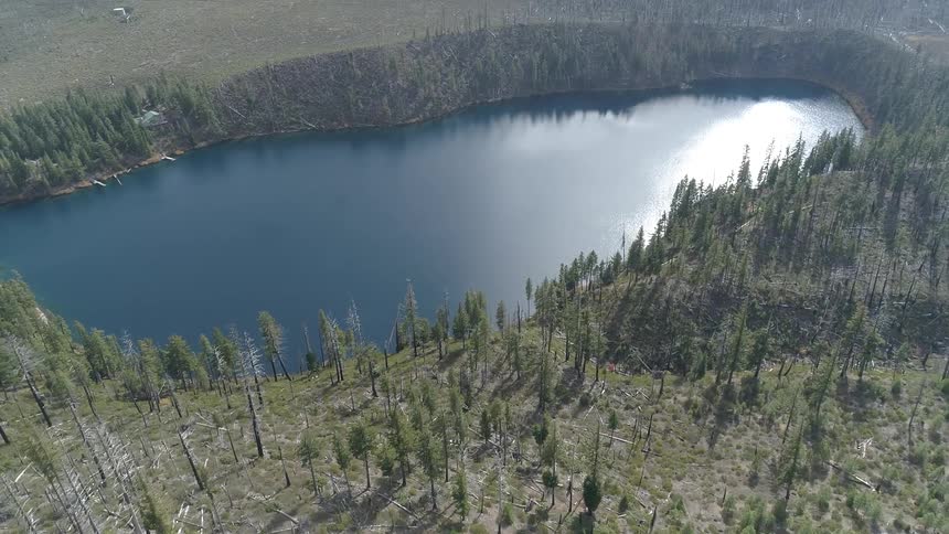 Aerial view of small lake next to the forest during daylight