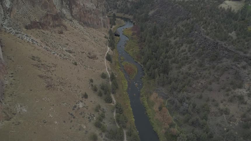 An aerial footage of a river in the wild