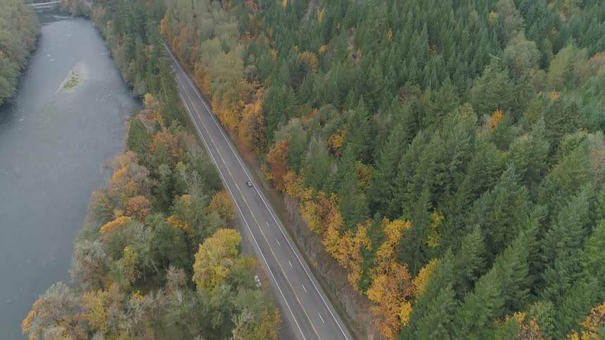 An aerial scenery of a road near an autumn forest