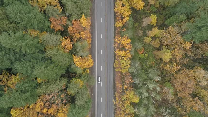 A truck travels on an empty rural road between forest trees in autumn