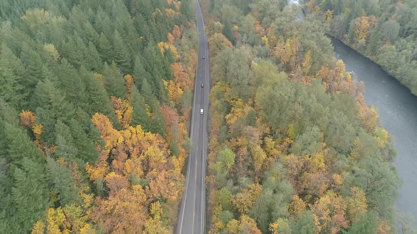 An aerial scenery of a road in the middle of forest