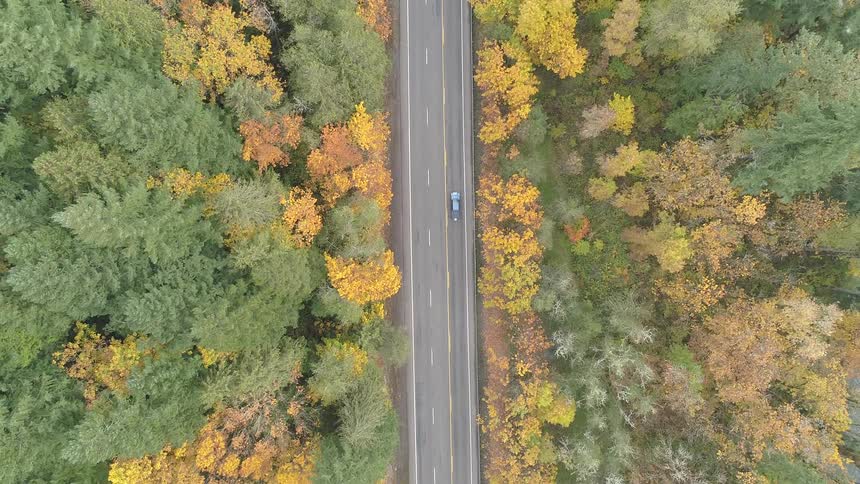 Car drives along road cutting through forest with fall foliage