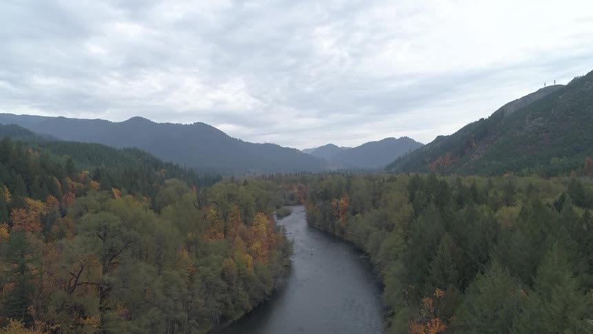 Aerial of river gently flowing through the trees in the valley