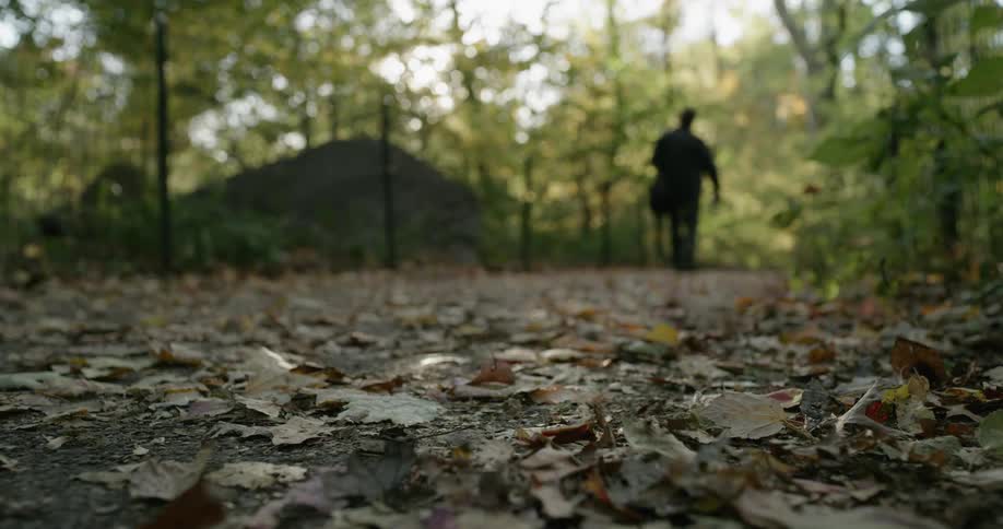 A man walks on a leaf covered path in a park