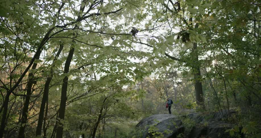 A man standing on a big rock at the forest