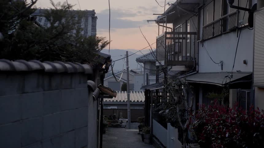 Alleyway between houses on a residential area