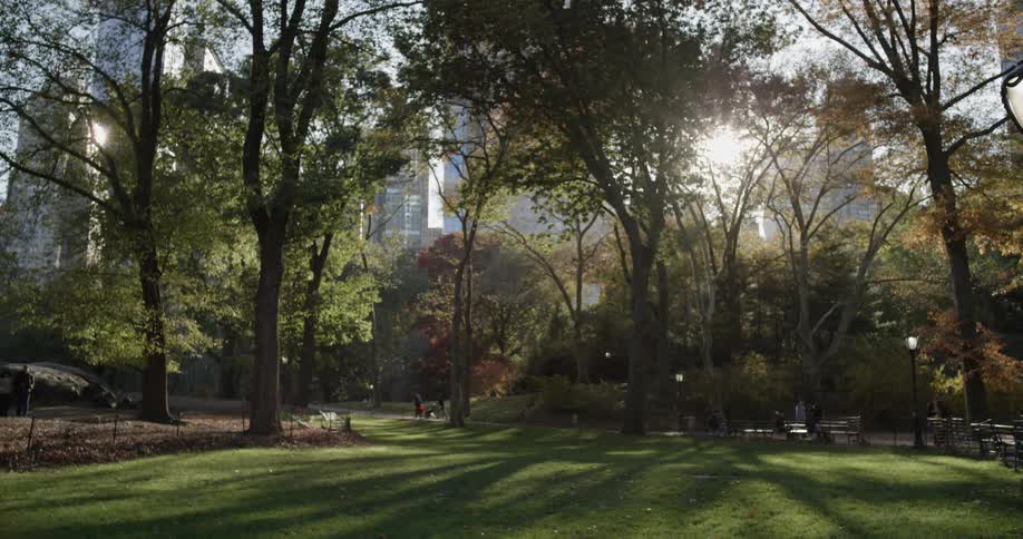People stroll in the public park while the sun beams