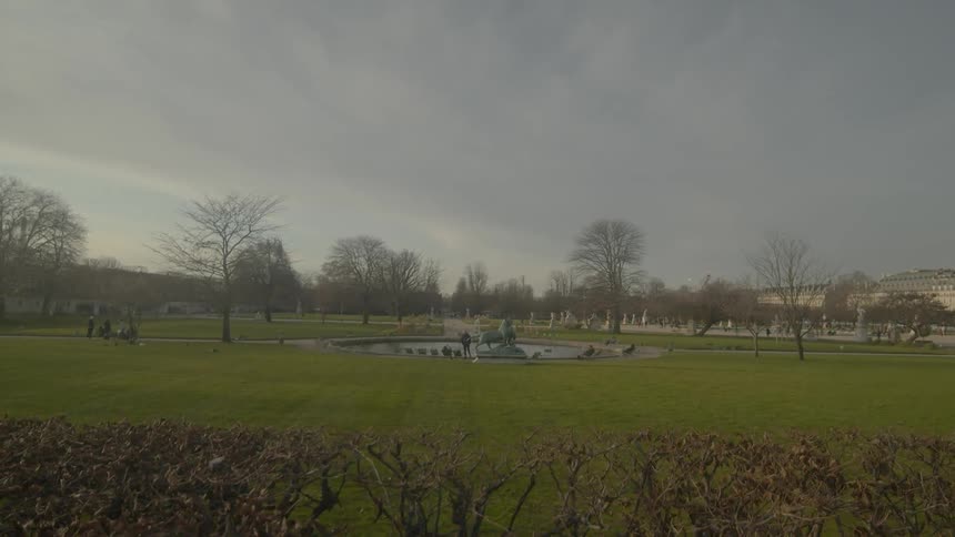 A person is standing next to a pond in the middle of a park