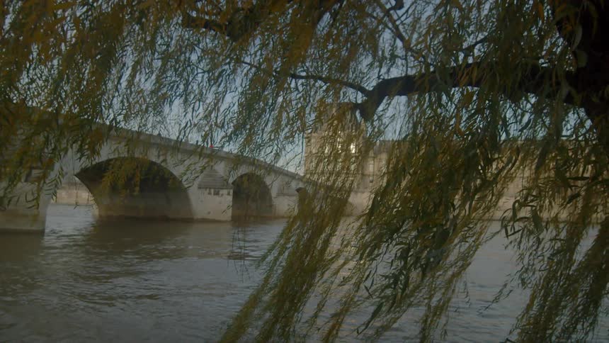 A scenery of a bridge under a big tree