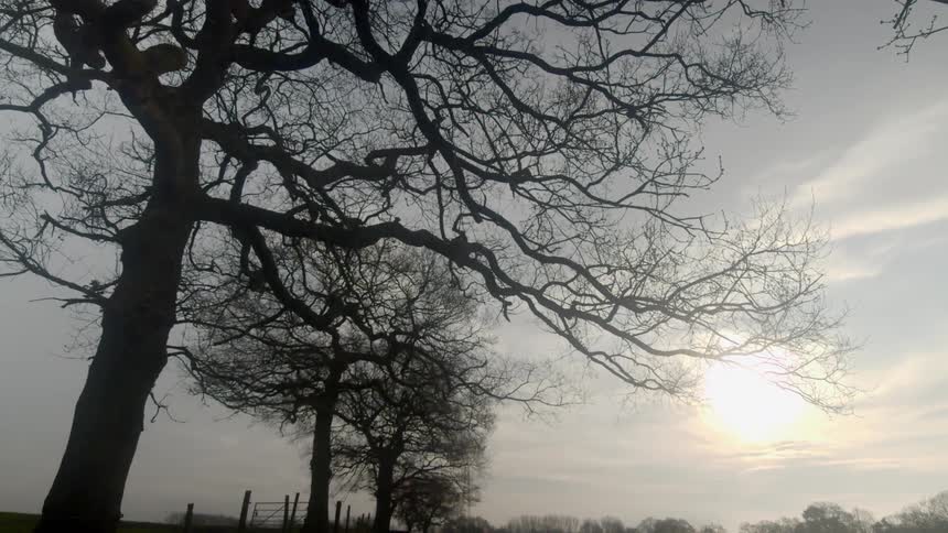 Sun shines through clouds near the horizon of fenced fields