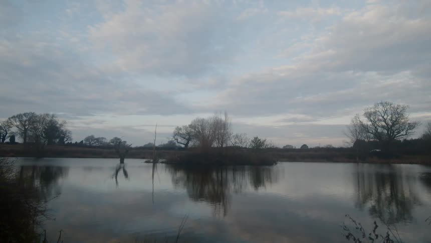 A pond with trees and the sky in the background