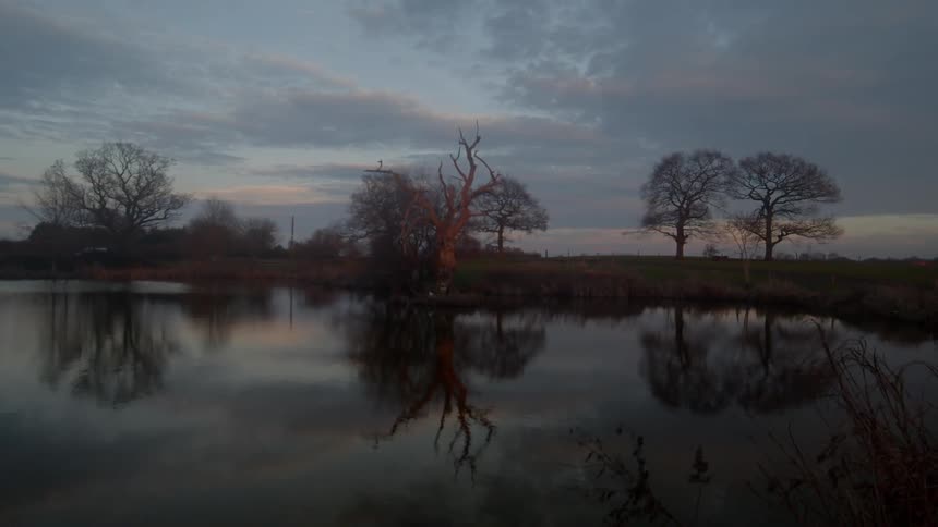 A pond with trees and the sky in the background