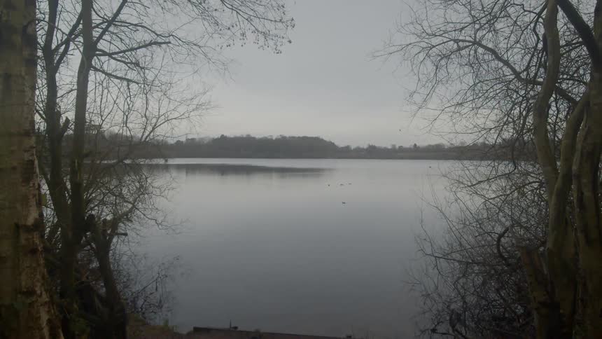 A few ducks are sitting on a calm lake